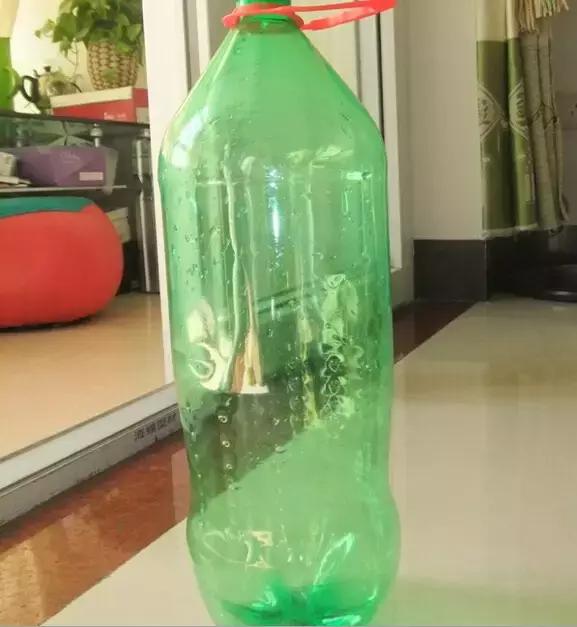 家里饮料瓶太多别烦恼 10步改造成花瓶! 